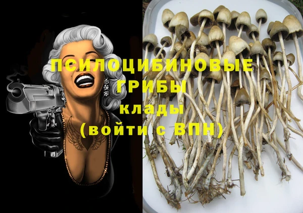 шишки Балабаново