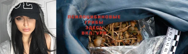 шишки Балабаново