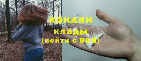 шишки Балабаново
