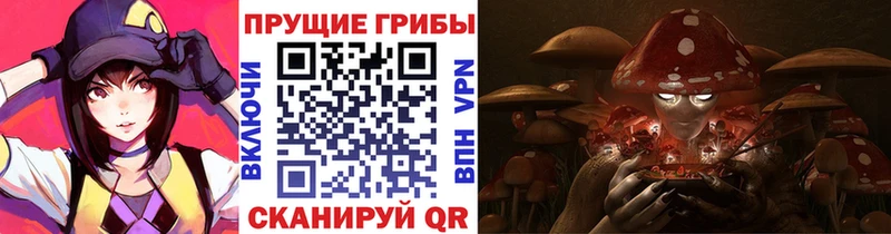 Псилоцибиновые грибы Cubensis  Инза 